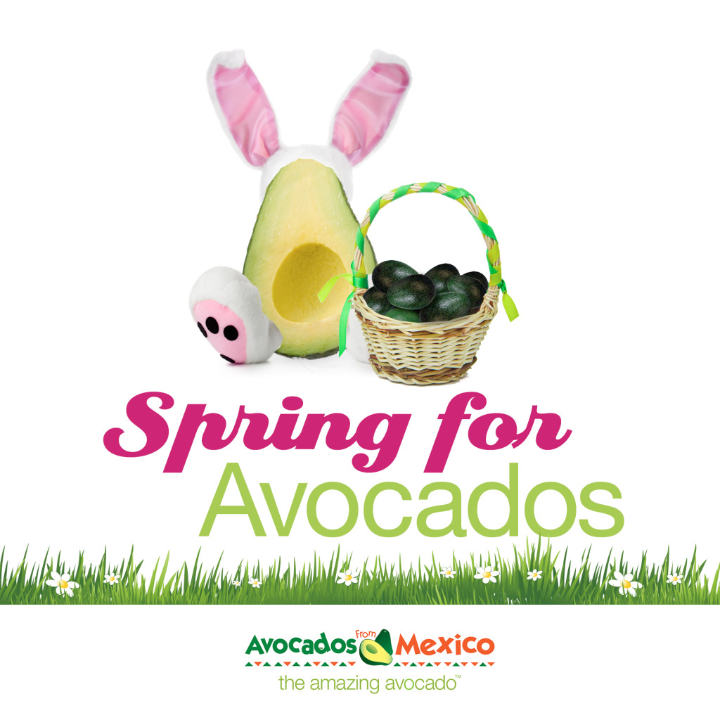 Spring For Avocados