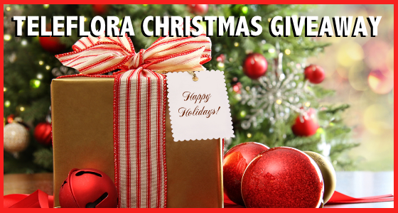Teleflora Christmas Giveaway