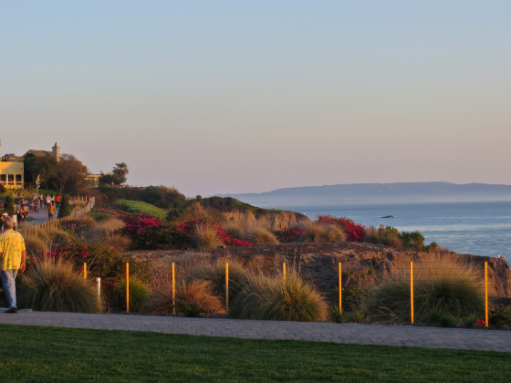 Pismo Beach Dolphin Bay