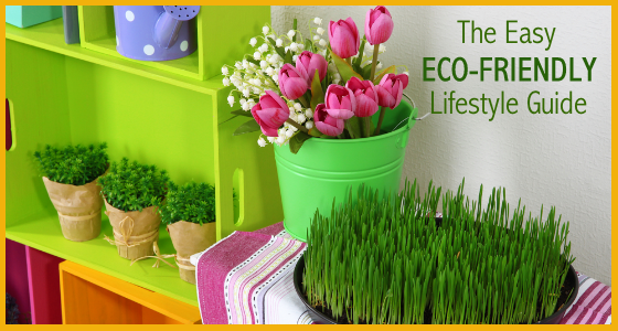 The Easy Eco-Friendly Lifestyle Guide