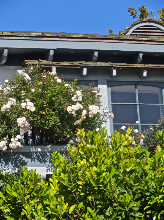 Smartwater Look Up Challenge - Flower Box