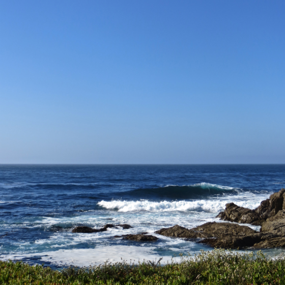 Smartwater Look Up Challenge - Pebble Beach Landscape