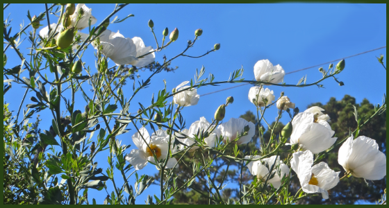 Smartwater Look Up Challenge