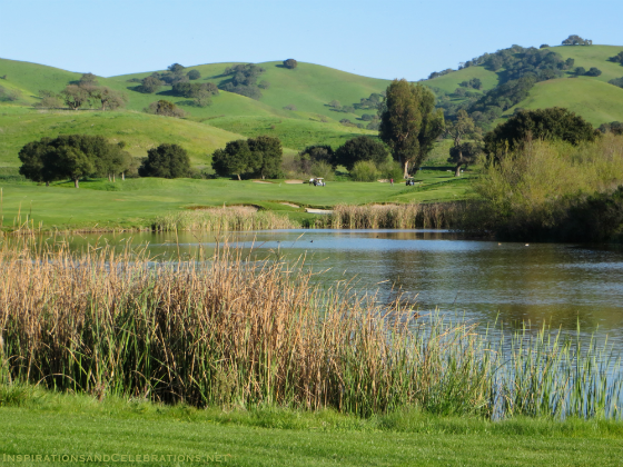 Estee Lauder Double Wear Makeup - Beauty Blogger