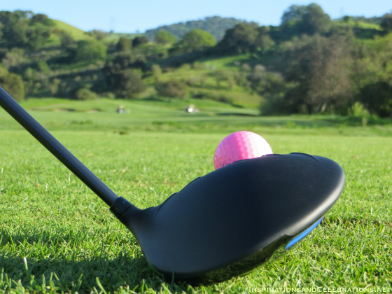 Estee Lauder Double Wear Makeup