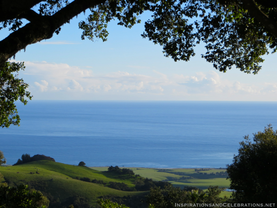 Travel Guide To Heart Castle San Simeon California
