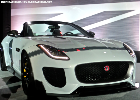 Fabulous Finds - 5 Amazing Fathers Day Gifts Jaguar Performance Driving Academy