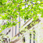 The-Californians-Guide-to-Drought-Tolerant-Garden-Design-1