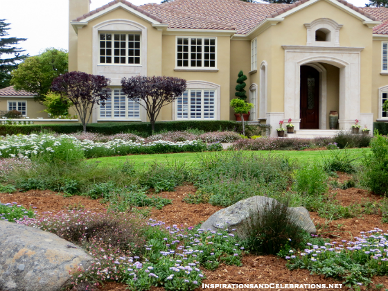 The Californians' Guide to Drought Tolerant Garden Design