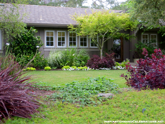 The Californians' Guide to Drought Tolerant Garden Design
