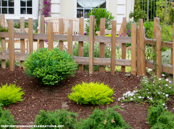 The Californians' Guide to Drought Tolerant Garden Design