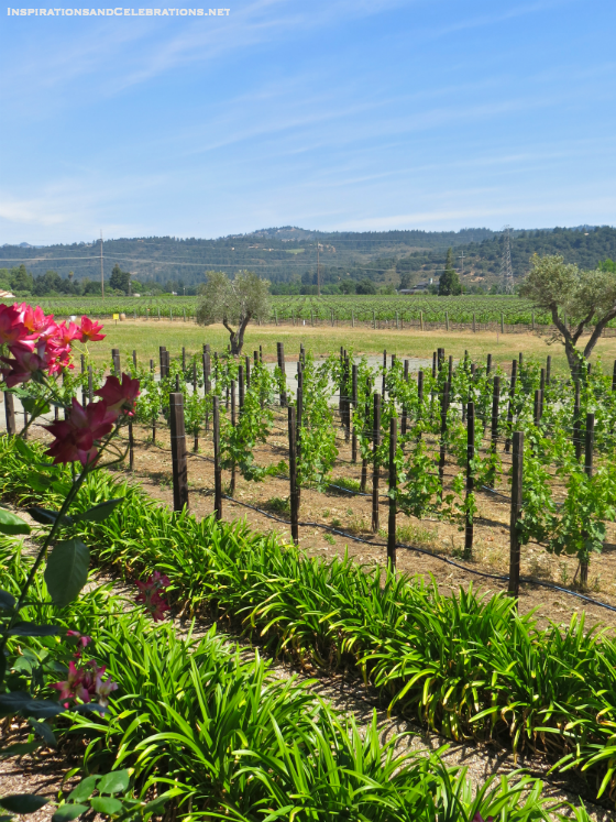 5 Fabulous Places to Visit in Fall - Napa