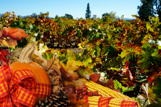 Thanksgiving Greetings