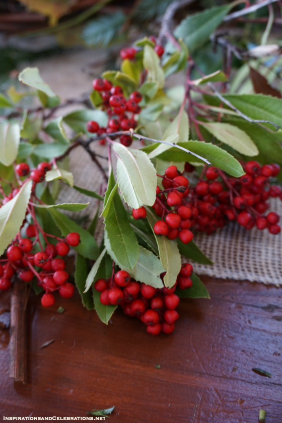 Tutorial on How To Make A DIY Holiday Wreath