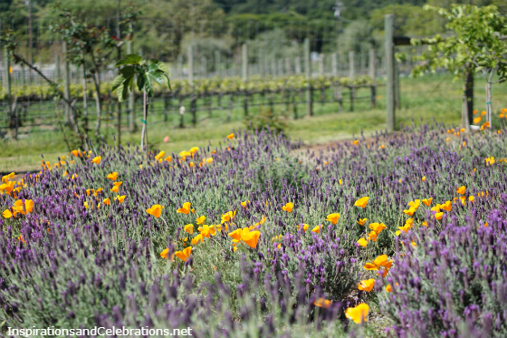Bernardus Lodge and Spa - Carmel Valley, California