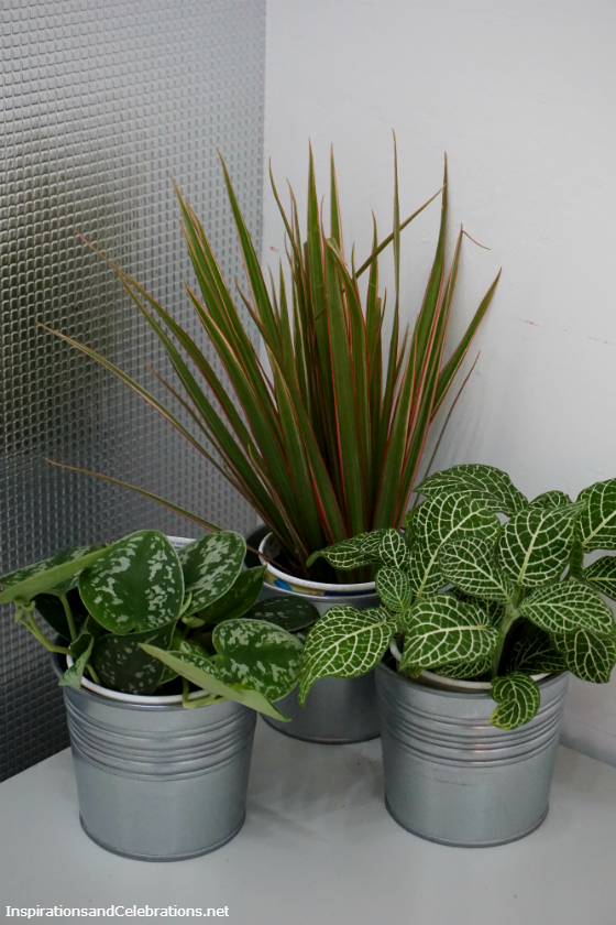 Stylish Office Decor Ideas for National Cubicle Day