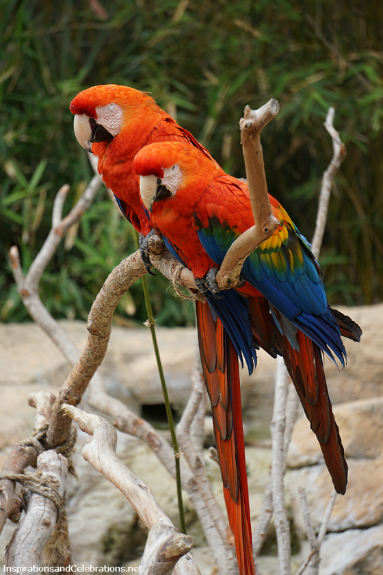 The Fun Family-Friendly Travel Guide to Santa Barbara - Santa Barbara Zoo