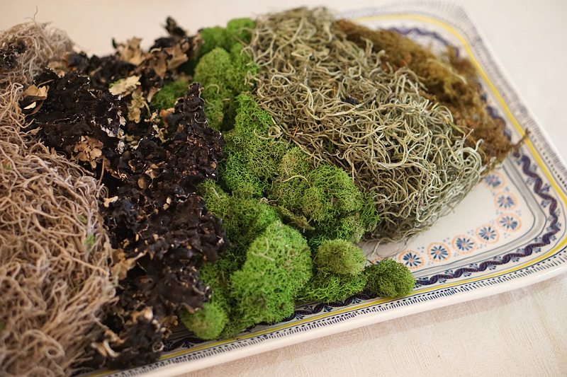 DIY Floral Arranging Workshop and Expert Tips from Quixotic Event Floral Design