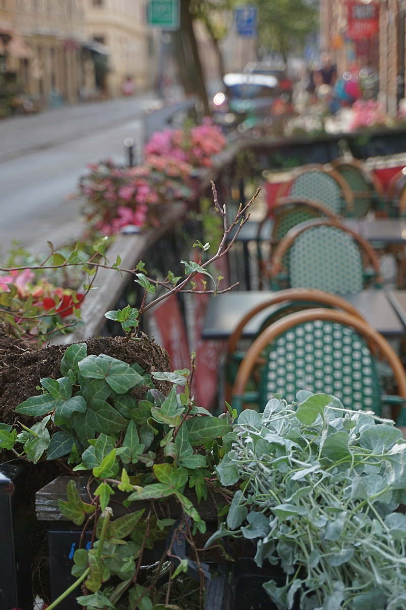 The Luxury Travel Guide to Gothenburg Sweden - Haga Nygata