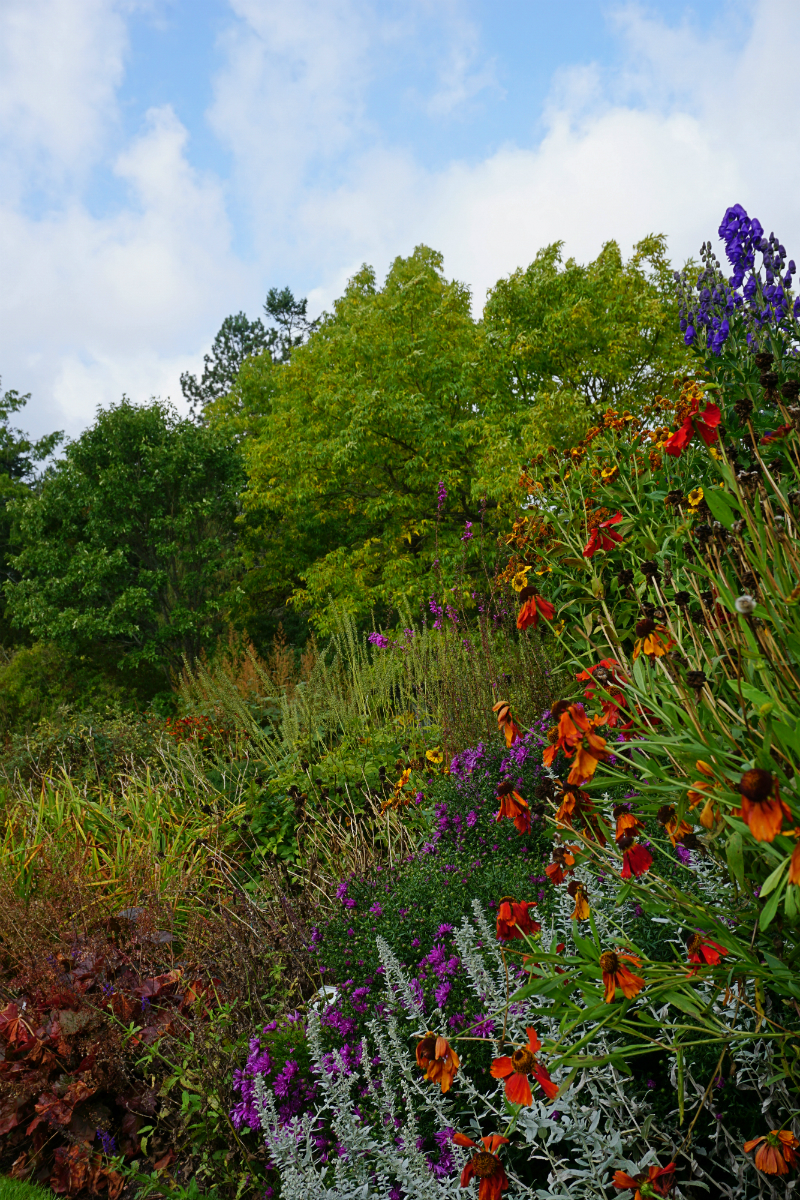 The Luxury Travel Guide to Gothenburg Sweden - Botanical Gardens