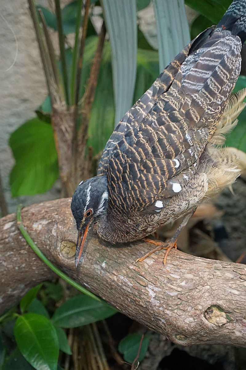 The Luxury Travel Guide to Gothenburg Sweden - Universeum