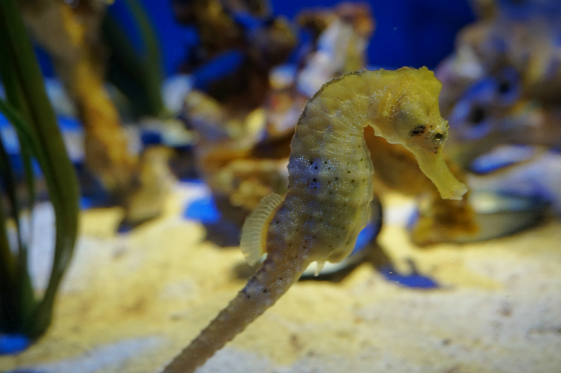 The Luxury Travel Guide to Gothenburg Sweden - Universeum