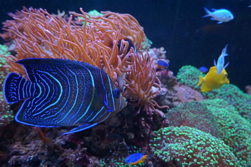 The Luxury Travel Guide to Gothenburg Sweden - Universeum