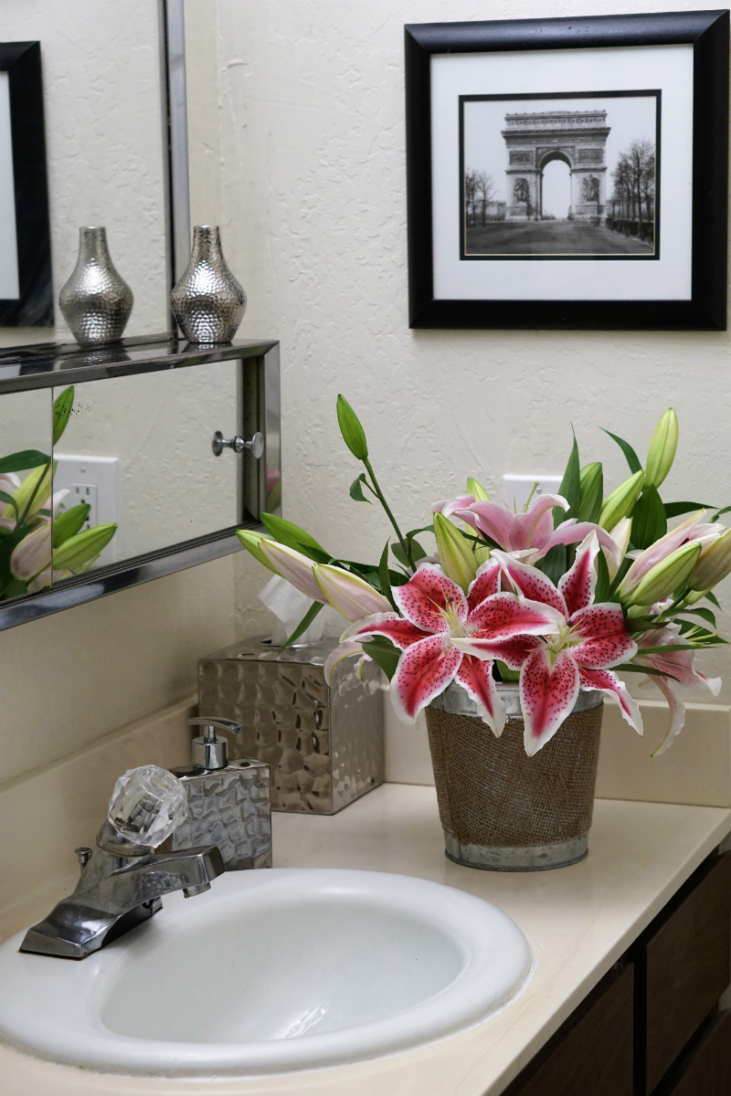 Home Decorating Guide - How To Make an Apartment Look Stylish