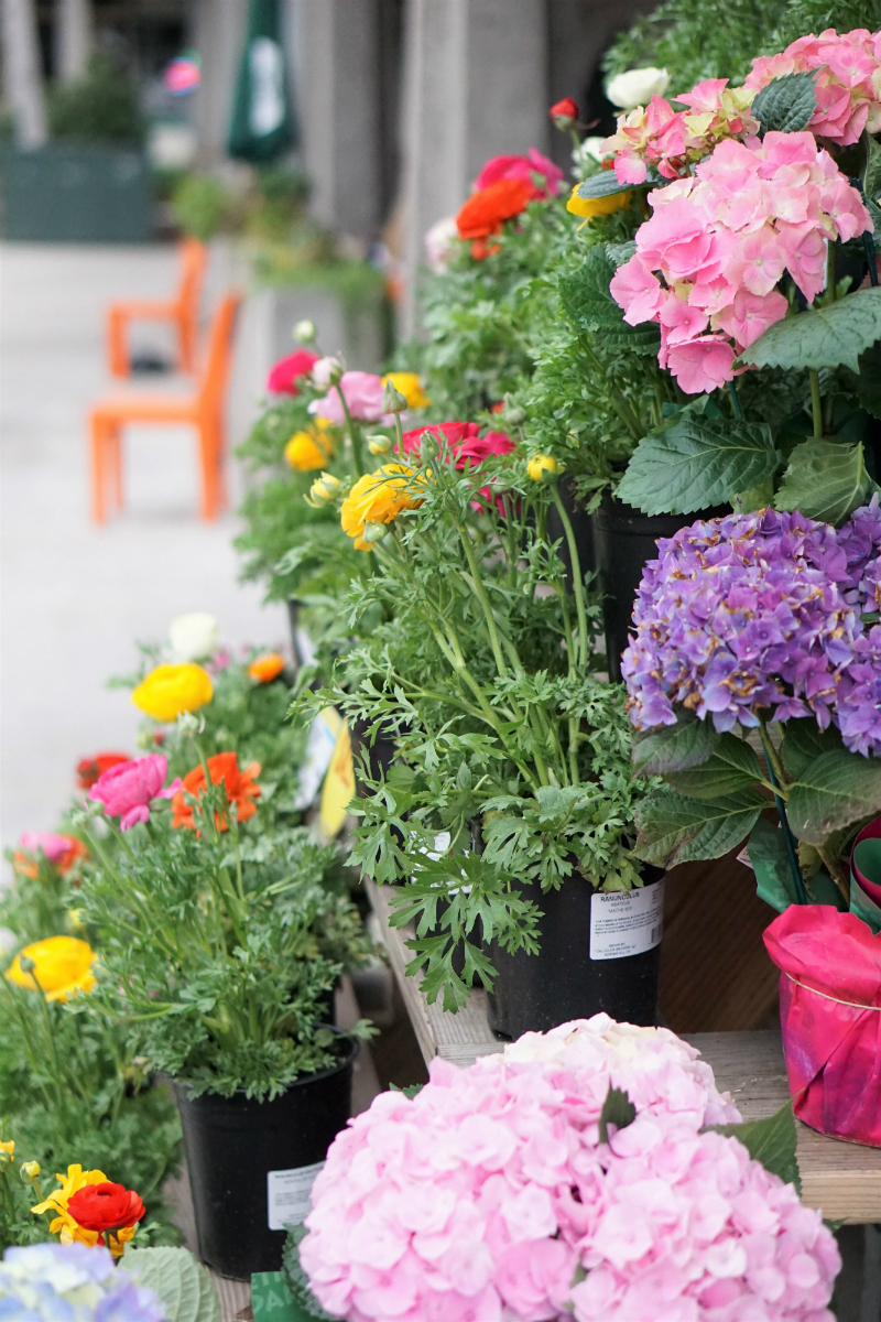 Protein-Packed Portable Snacks To Keep You Energized On-The-Go