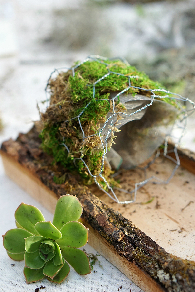 Folktale Artisan Workshop on How To Create a DIY Mini Wall Garden