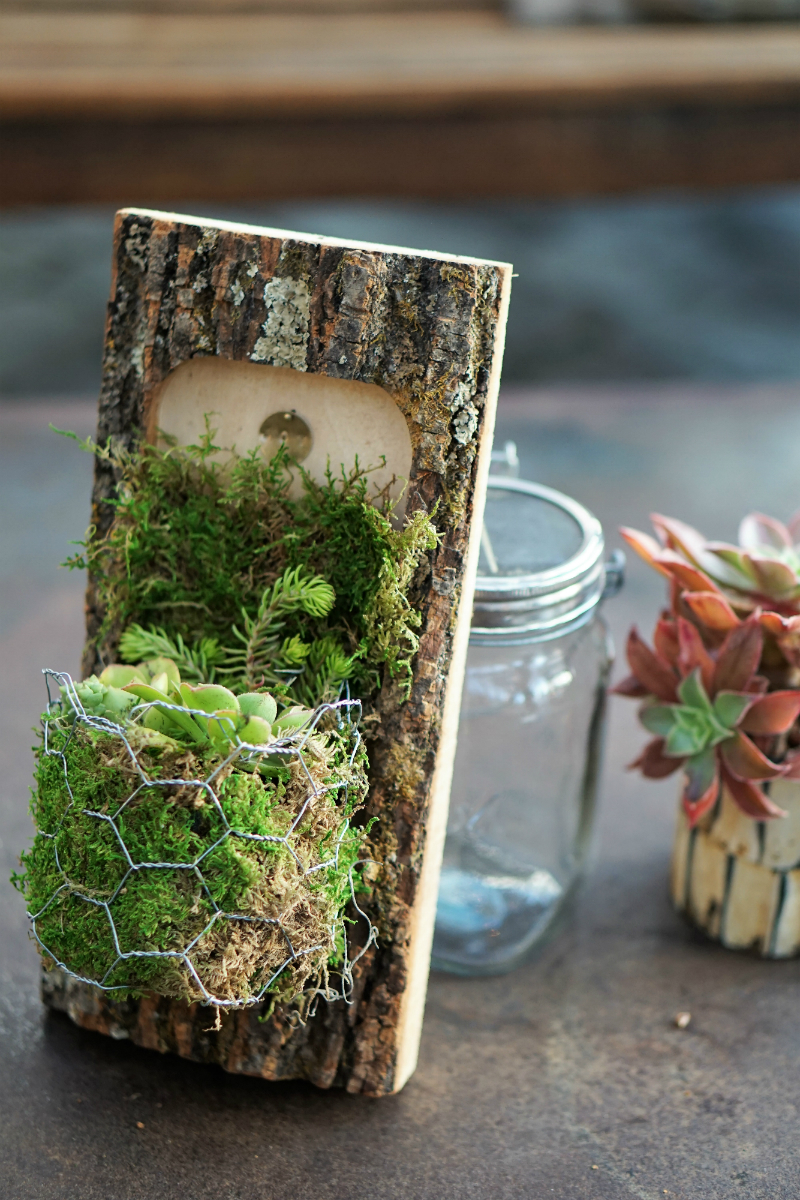 Folktale Artisan Workshop on How To Create a DIY Mini Wall Garden