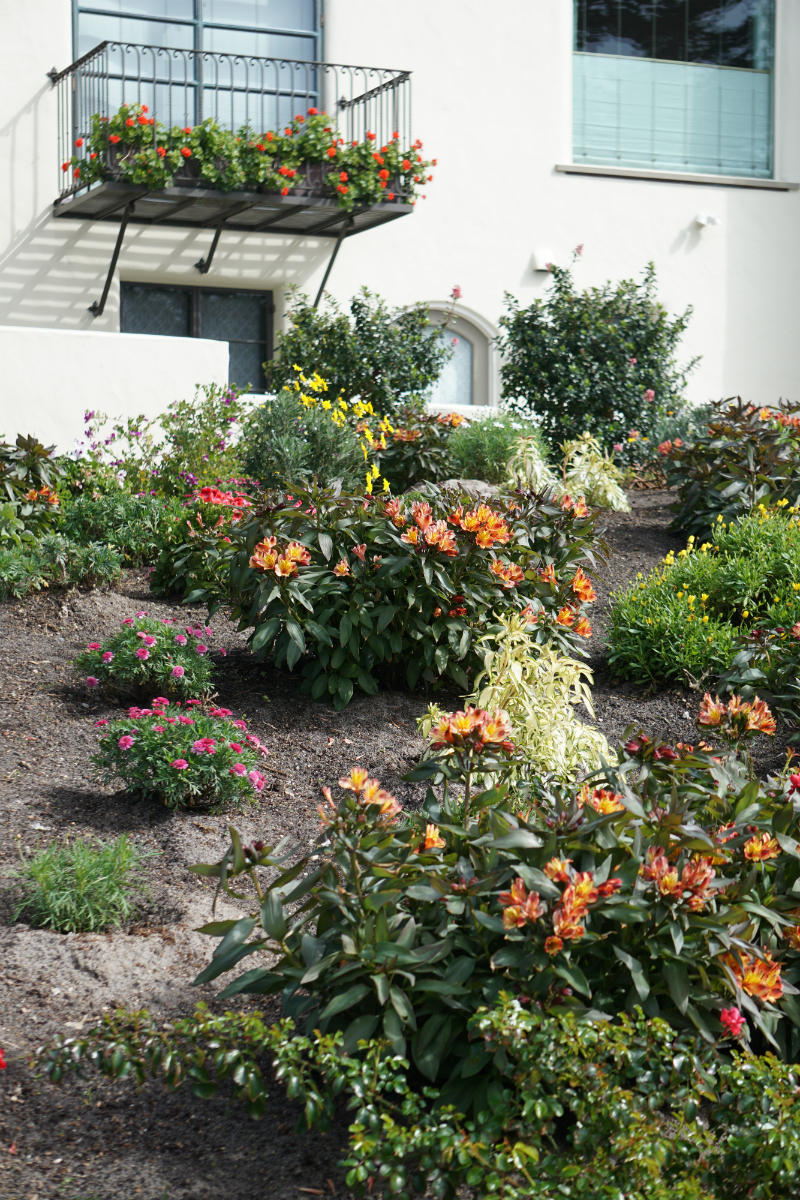 Simple Ways To Refresh Your Home Garden for Spring - Perennials