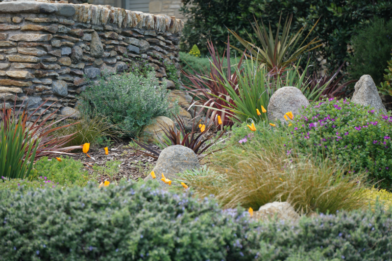 Simple Ways To Refresh Your Home Garden for Spring - Wildflowers