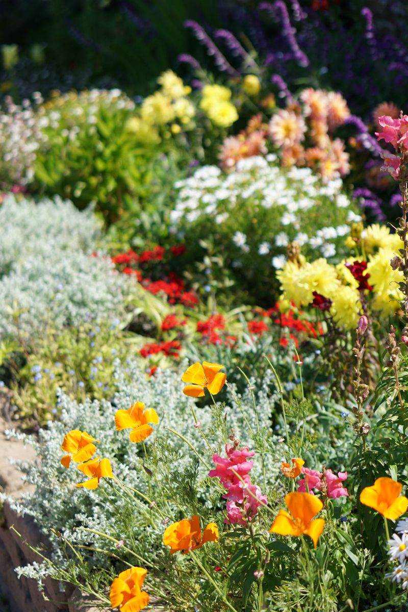 An Enchanting Dream Vacation in Carmel-by-the-Sea - La Playa Carmel Garden