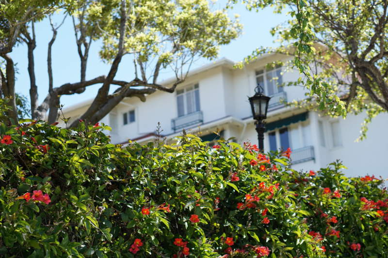 An Enchanting Vacation in Carmel-by-the-Sea - La Playa Carmel