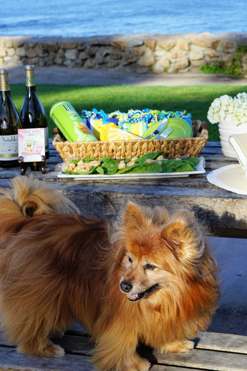 Food and Wine Pairing Guide - An Easy Appetizer To Serve with Chardonnay