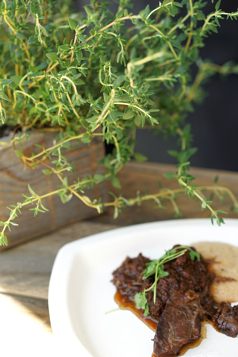 Hall Wines Cabernet Cookoff in St Helena Napa Valley