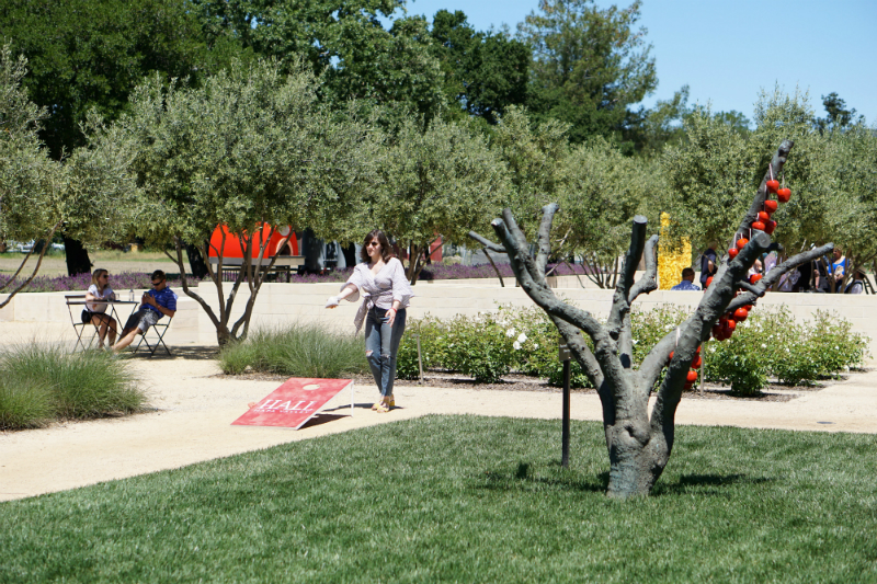 Hall Wines Cabernet Cookoff in St Helena Napa Valley