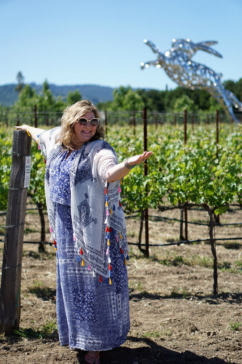 Hall Wines Cabernet Cookoff in St Helena Napa Valley