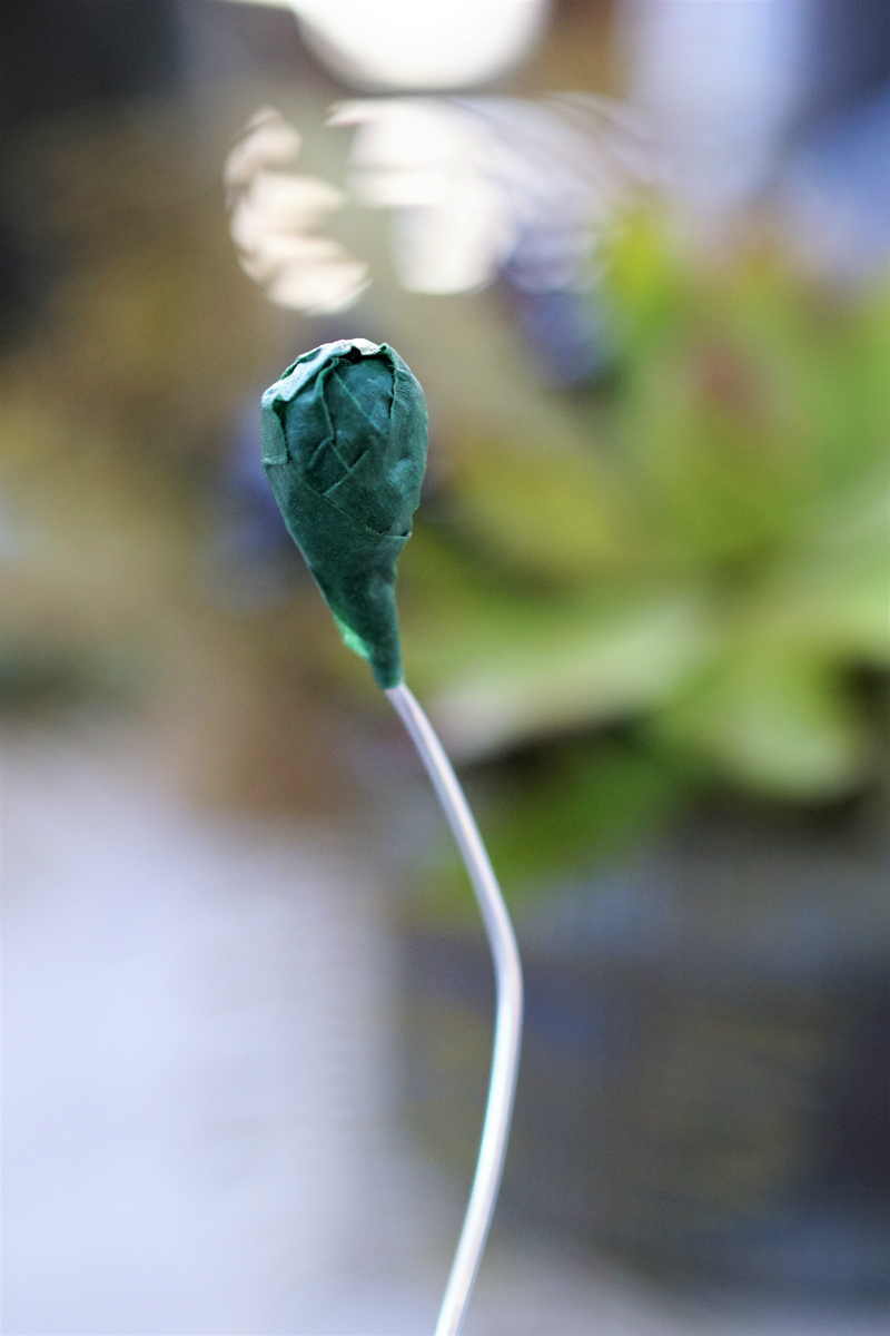 Folktale Artisan Workshop - Tutorial on DIY Crepe Paper Flowers