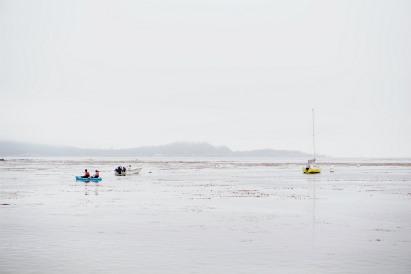  3 Easy Ways To Boost Your Digestive Health While Staying Active