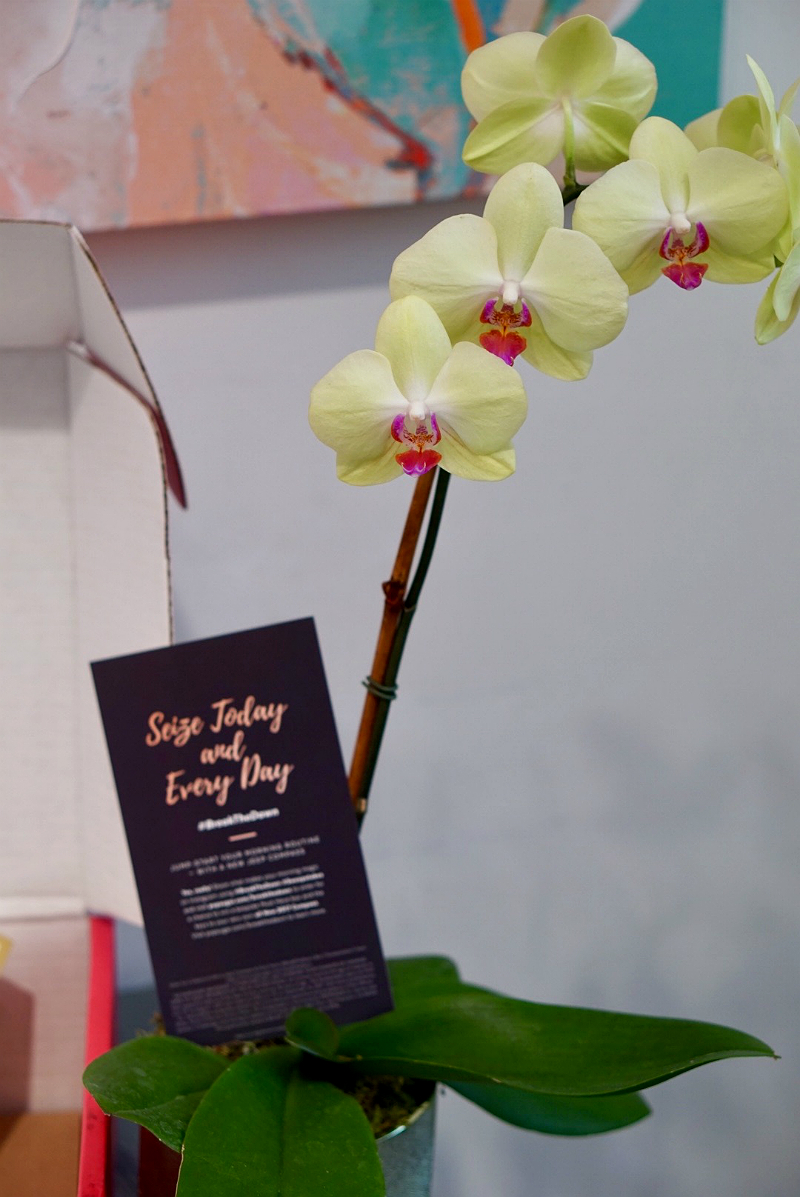 Popsugar Celebrates 5 Years of Curating Popsugar Must Have Boxes