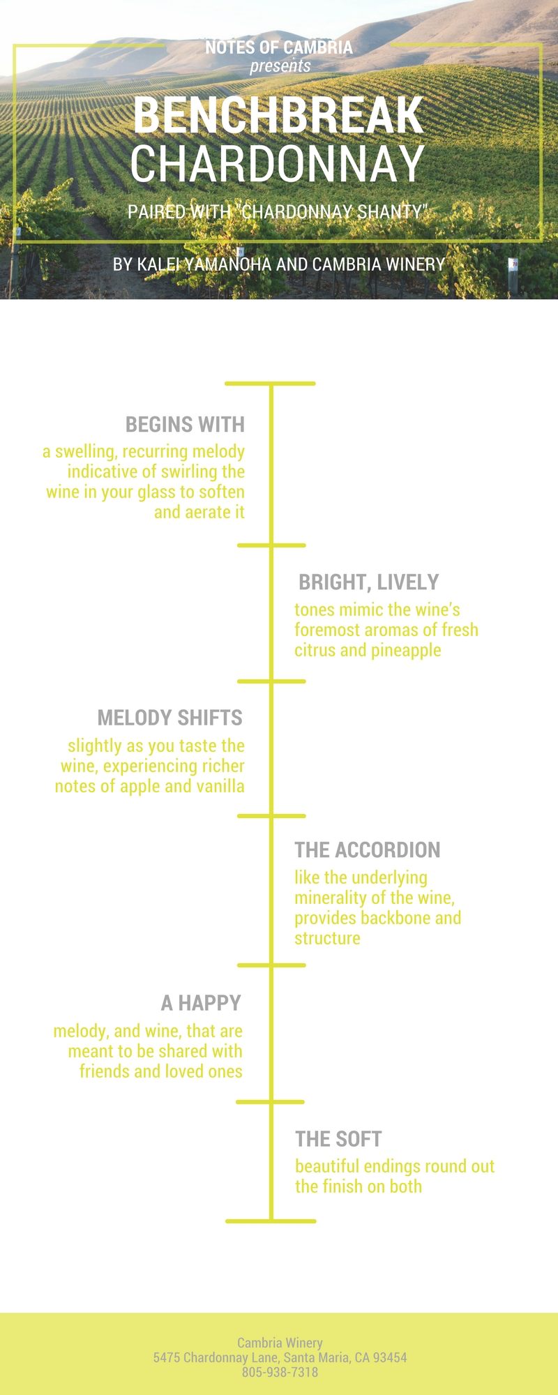 Simple White Wine Timeline - Infographic