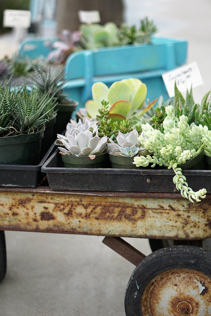 The Fun-Filled Getaway Guide To San Luis Obispo County - Boutique Shopping