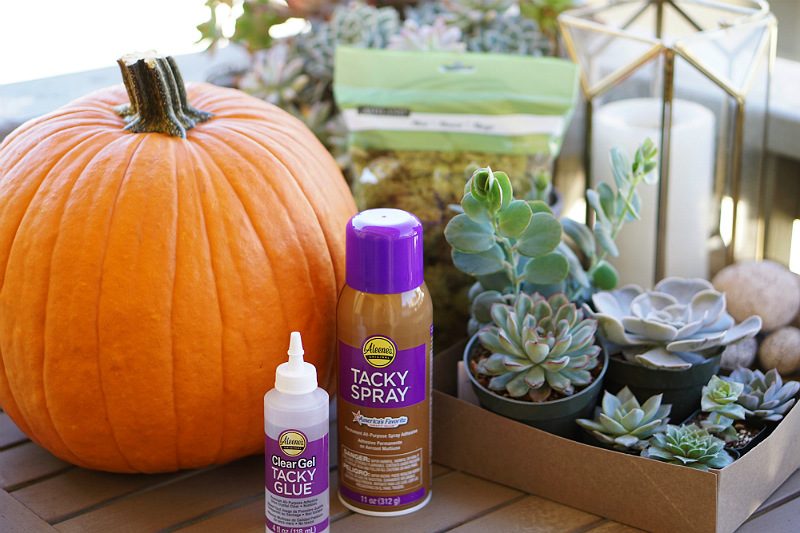 DIY Home Decor Tutorial - How To Make a Pumpkin Succulent Centerpiece