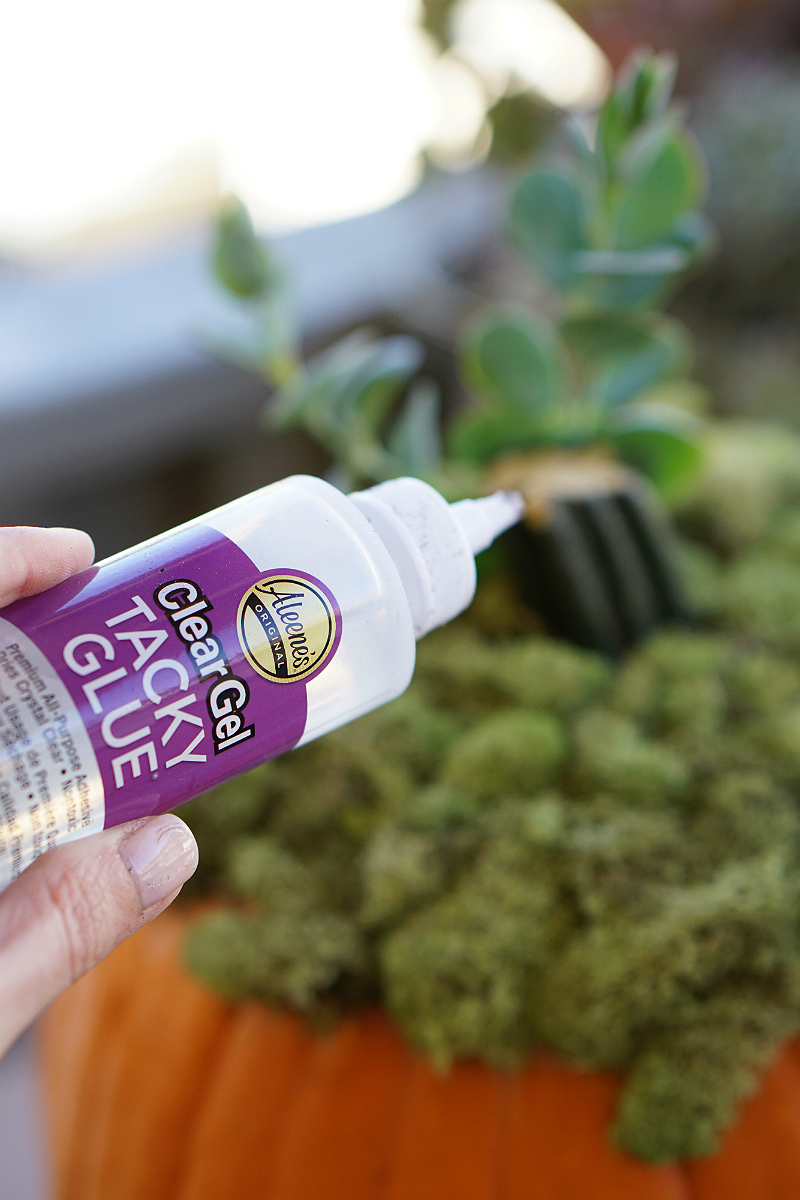 DIY Home Decor Tutorial - How To Make a Pumpkin Succulent Centerpiece