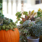 DIY Home Decor Tutorial: Pumpkin Succulent Centerpiece DIY-Home-Decor-Tutorial-How-To-Make-a-Pumpkin-Succulent-Centerpiece-7