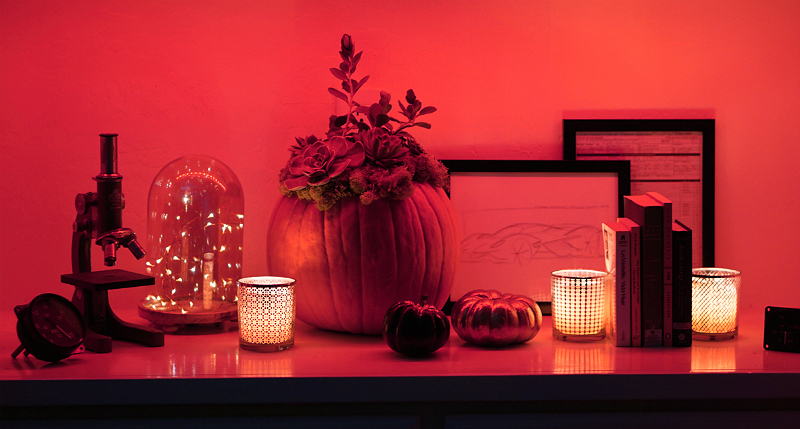 Ghoulishly Glamorous Halloween Home Decor Ideas