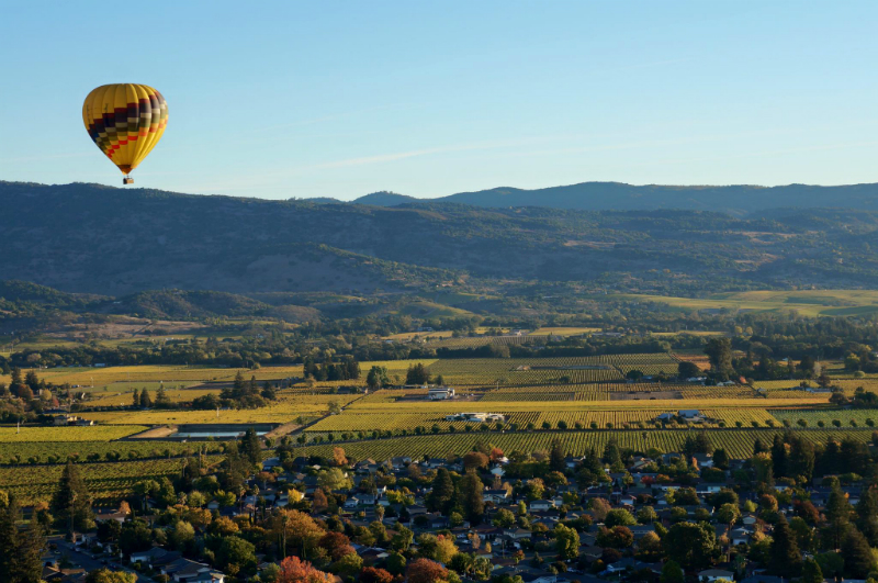 The Tin Man Song by Miranda Lambert Inspires Us To Open Our Hearts on The Journey of Love