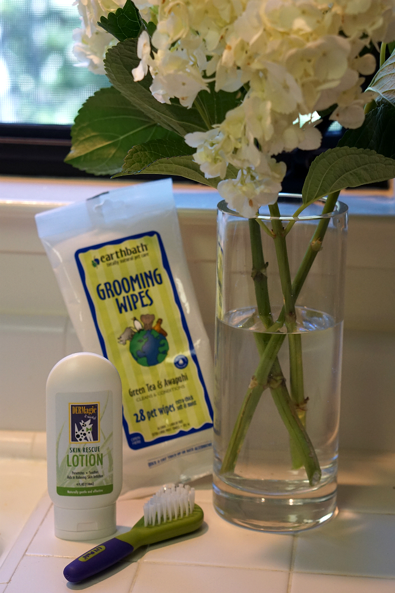 Puppy Love - Tips and Tricks for New Puppy Parents - Grooming and Hygiene